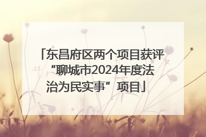 东昌府区两个项目获评“聊城市2024年度法治为民实事”项目