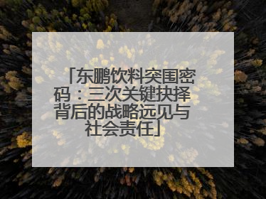 东鹏饮料突围密码：三次关键抉择背后的战略远见与社会责任