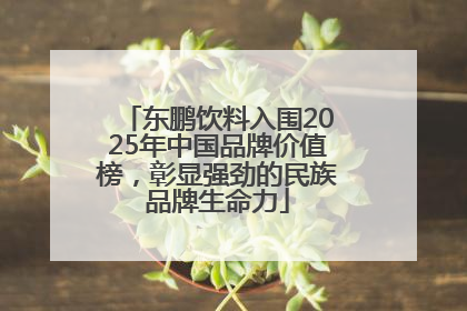 东鹏饮料入围2025年中国品牌价值榜，彰显强劲的民族品牌生命力