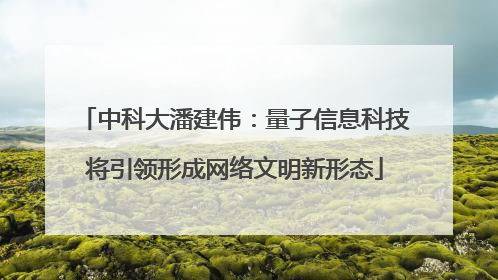 中科大潘建伟：量子信息科技将引领形成网络文明新形态