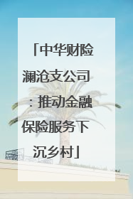 中华财险澜沧支公司：推动金融保险服务下沉乡村