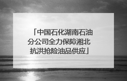 中国石化湖南石油分公司全力保障湘北抗洪抢险油品供应