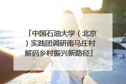 中国石油大学（北京）实践团调研南马庄村解码乡村振兴新路径