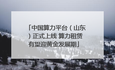 中国算力平台（山东）正式上线 算力租赁有望迎黄金发展期