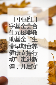中国红十字基金会合生元母婴救助基金“生命早期营养健康支持行动”走进新疆，开启守护母婴新篇章！