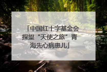 中国红十字基金会探望“天使之旅”青海先心病患儿