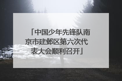 中国少年先锋队南京市建邺区第六次代表大会顺利召开