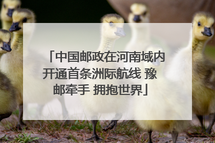中国邮政在河南域内开通首条洲际航线 豫邮牵手 拥抱世界