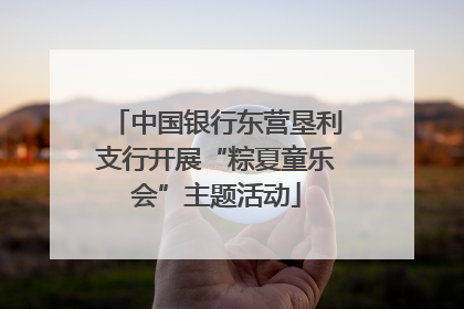 中国银行东营垦利支行开展“粽夏童乐会”主题活动