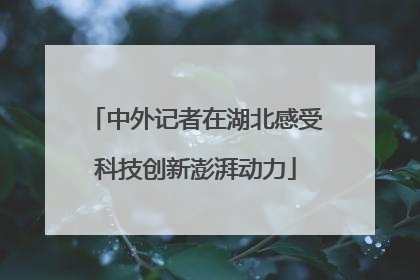 中外记者在湖北感受科技创新澎湃动力