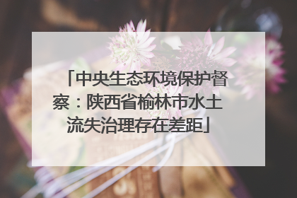 中央生态环境保护督察：陕西省榆林市水土流失治理存在差距