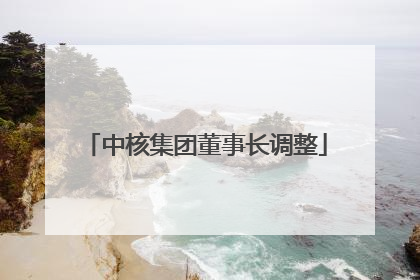 中核集团董事长调整