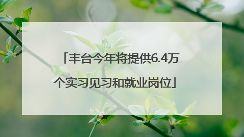 丰台今年将提供6.4万个实习见习和就业岗位