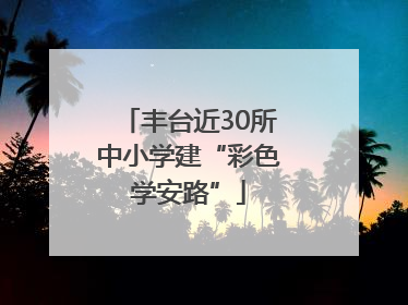 丰台近30所中小学建“彩色学安路”