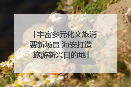 丰富多元化文旅消费新场景 海安打造旅游新兴目的地