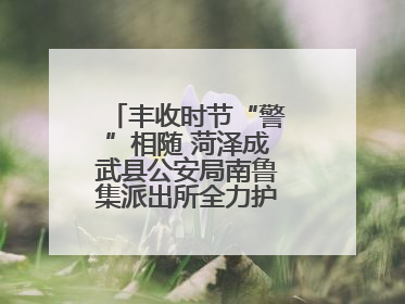 丰收时节“警”相随 菏泽成武县公安局南鲁集派出所全力护航大蒜收获季