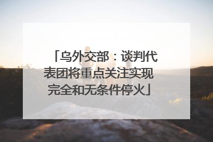 乌外交部：谈判代表团将重点关注实现完全和无条件停火