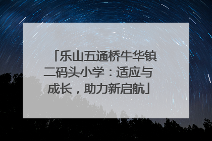 乐山五通桥牛华镇二码头小学：适应与成长，助力新启航