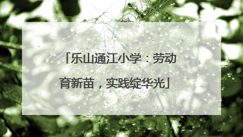 乐山通江小学：劳动育新苗，实践绽华光