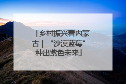 乡村振兴看内蒙古｜“沙漠蓝莓”种出紫色未来