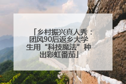 乡村振兴真人秀：团风90后返乡大学生用“科技魔法”种出彩虹番茄