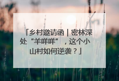 乡村邀请函｜密林深处“羊咩咩”，这个小山村如何逆袭？