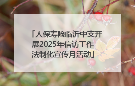 人保寿险临沂中支开展2025年信访工作法制化宣传月活动