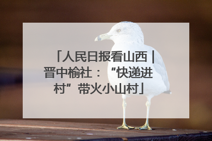 人民日报看山西｜晋中榆社：“快递进村”带火小山村