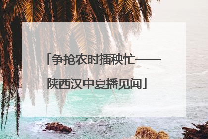 争抢农时插秧忙——陕西汉中夏播见闻