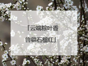 云端粽叶香 鲁疆石榴红