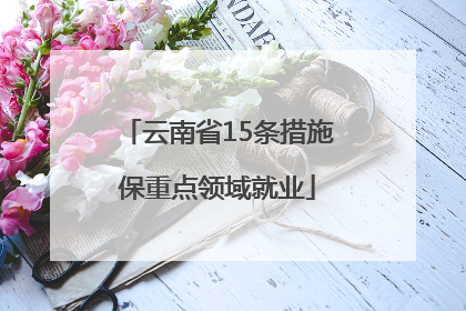 云南省15条措施保重点领域就业