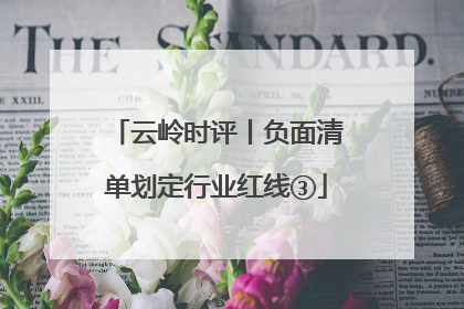 云岭时评丨负面清单划定行业红线③
