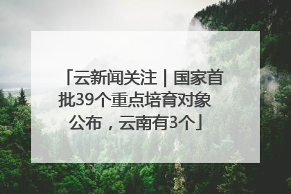 云新闻关注｜国家首批39个重点培育对象公布，云南有3个