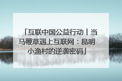 互联中国公益行动丨当马鞭草遇上互联网：昆明小渔村的逆袭密码