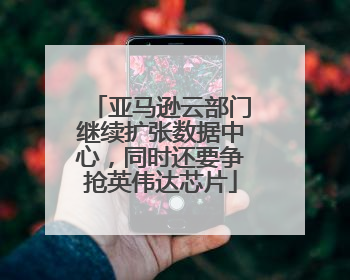 亚马逊云部门继续扩张数据中心，同时还要争抢英伟达芯片