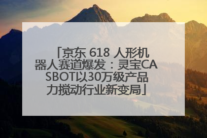 京东 618 人形机器人赛道爆发：灵宝CASBOT以30万级产品力搅动行业新变局