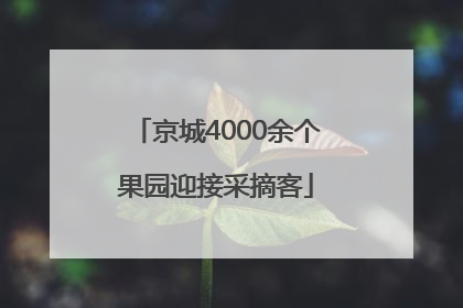 京城4000余个果园迎接采摘客
