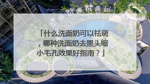 什么洗面奶可以祛斑，哪种洗面奶去黑头缩小毛孔效果好指南？