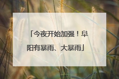 今夜开始加强！阜阳有暴雨、大暴雨