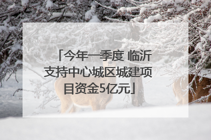 今年一季度 临沂支持中心城区城建项目资金5亿元
