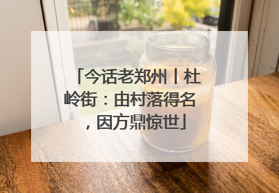 今话老郑州丨杜岭街：由村落得名，因方鼎惊世