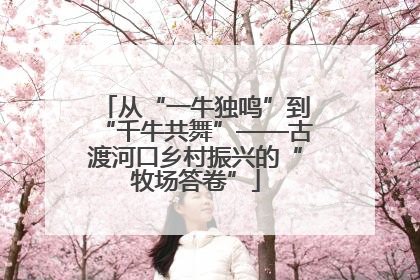 从“一牛独鸣”到“千牛共舞”——古渡河口乡村振兴的“牧场答卷”