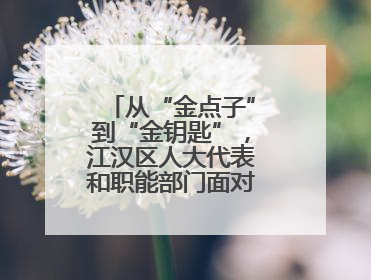从“金点子”到“金钥匙”，江汉区人大代表和职能部门面对面解企业难题