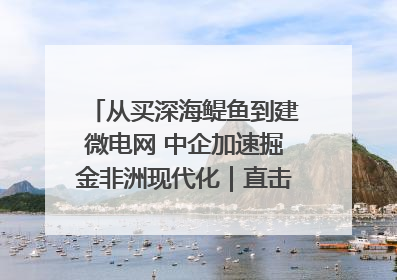 从买深海鳀鱼到建微电网 中企加速掘金非洲现代化｜直击中非经贸博览会