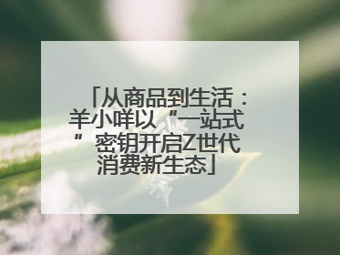 从商品到生活：羊小咩以“一站式”密钥开启Z世代消费新生态