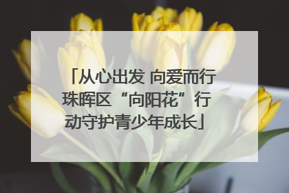 从心出发 向爱而行 珠晖区“向阳花”行动守护青少年成长