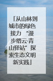 从山林到城市的绿色接力 “漫步缙云·青山驿站”探索生态文明新实践