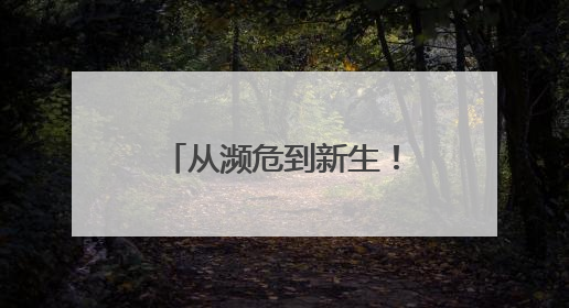 从濒危到新生！人工繁育+野外保护让中国绿孔雀走上种群逆袭之路