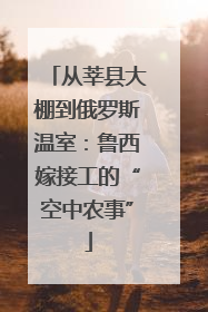 从莘县大棚到俄罗斯温室：鲁西嫁接工的“空中农事”