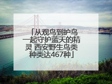 从观鸟到护鸟 一起守护蓝天的精灵 西安野生鸟类种类达467种
